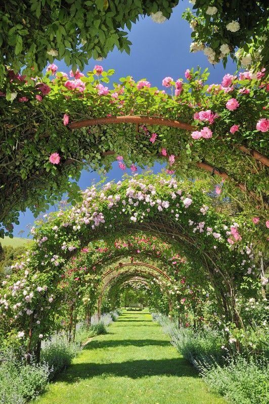 Whisper of Meadows: Gentle Spring Embrace